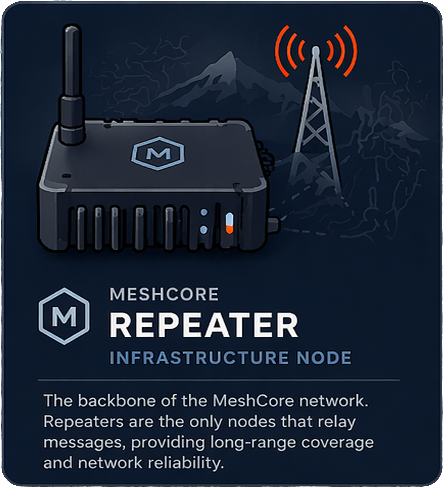 Repeater Node